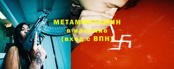 прущие грибы Балабаново