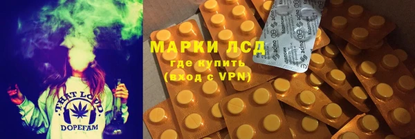 шишки Баксан