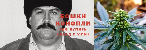 прущие грибы Балабаново