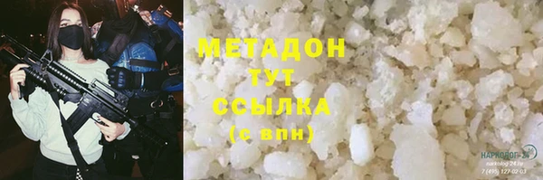 прущие грибы Балабаново