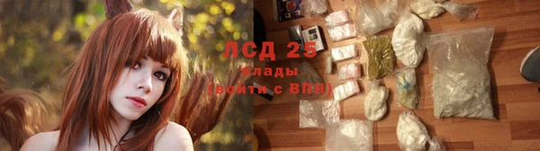 прущие грибы Балабаново