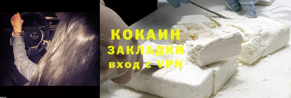 шишки Баксан