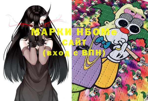 прущие грибы Балабаново