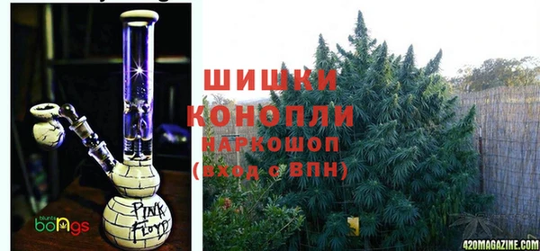 прущие грибы Балабаново