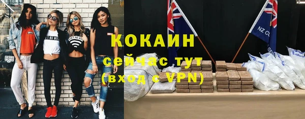 шишки Баксан