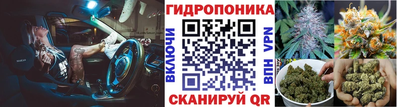 Конопля Bruce Banner  Борисоглебск 